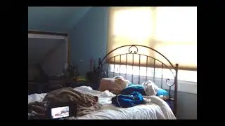 sleepstream summer vacation