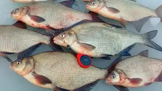 ЛЯЩІ ЯК ЧЕМОДАНИ НЕ ЛІЗУТЬ У ЛУНКИ. Зимова рибалка на ляща