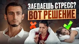 90% людей ЗАЕДАЮТ стресс. Почему и что делать