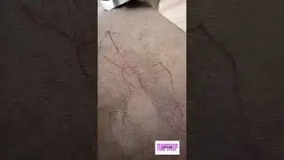для заказа сюда https://taplink.cc/filimonova_zanna/p/d49756/