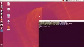 Run Lex File By Shell Script