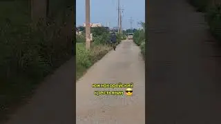 Южнокорейский крестьянин 😎#korea