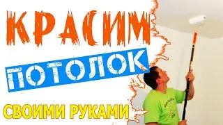 Красим потолок в квартире своими руками