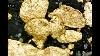 Gold Prospecting The Salmon River.
