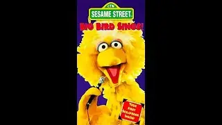 Sesame Street - Big Bird Sings (1995 VHS)
