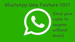 WhatsApp new feature of 2021 for sending videos to anyone without sound.
