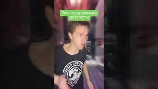 Лосям интересно что это такое