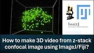 Part-3: How to make 3D video from z-stack confocal image using ImageJ/Fiji?