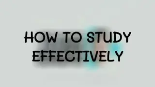 How To Study Effectively