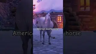 SSO horses at a New Years party 🥂 || Star Stable Online