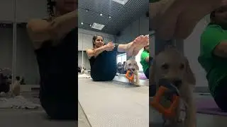 I went for Puppy Yoga 😍😱 