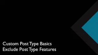07 Exclude Post Type Features | Custom Post Type Basics