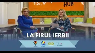 La firul ierbii: Patronatele IMM, 30 de ani de activitate
