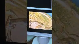11 сентября 2024 г.