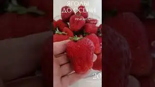 ЛУИЗА СТРИЖАКОВОЙ 3