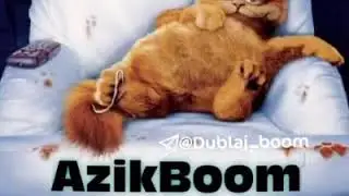 prikol videoni dadasi