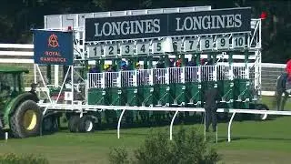 Sacred Fields 2nd start @  Randwick