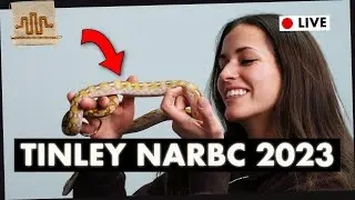 ALL the Snakes we're bringing to Tinley 2023