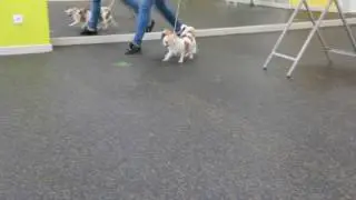 Ева на занятиях в зале