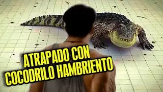 Man Trapped in 20-Foot Pool with Hungry Crocodile | 10-Minute Summary