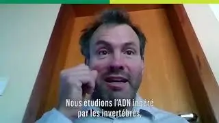 Dans quelle mesure la faune influence-t-elle la régénération des forêts amazoniennes ?