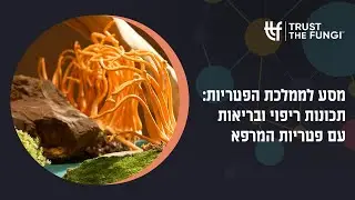 מסע לממלכת הפטריות - תכונות ריפוי ובריאות עם פטריות המרפא
