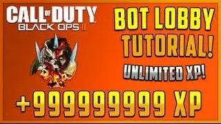 How To Host Your Own Bot Lobby On Black ops 2 ???(Xbox1 & Xbox 360)