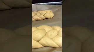 Homemade challah dough proofing