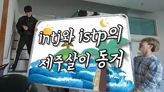 INTJ와 ISTP의 제주도에서 동거하며 살아남기