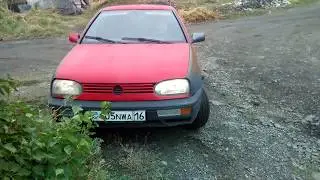 ШОК задавили котейку =(