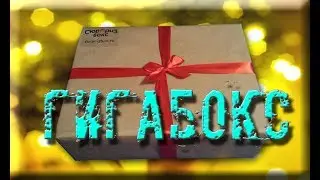 Открываем Гиго Бокс За 999руб.
