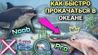 КАК БЫСТРО ПРОКАЧАТЬСЯ В OCEAN WORLD В WILDCRAFT 🐬✨