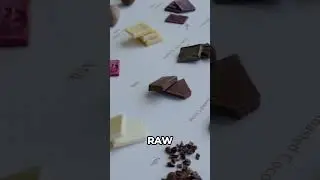 Chocolate Tasting - All the way from Switzerland! #chocolate #youtubeshorts #food