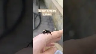 Материал подготовлен при поддержке гранта Минобрнауки России в рамках Десятилетия науки и технологий