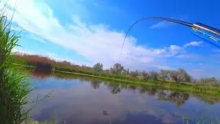 ЛЮТЫЙ ЖОР КРУПНЯКА ПОД НОГАМИ 💥!!! НА УДОЧКУ💥! РЫБАЛКА НА ПОПЛАВОК