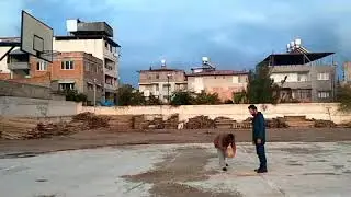 Türkiye'de Bir İlk Kesin İzle (VİNE)