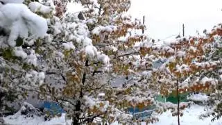 Мое измененное видео