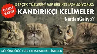 CANLI -  Kandırıkçı Kelimeler: Gelin şunları hep birlikte ifşa edelim!