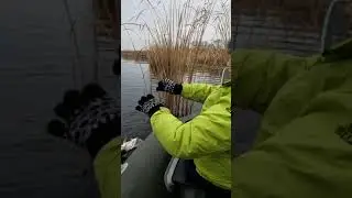 щука на кружки! работаем))) #shorts !