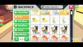 First ever successful cross trade!! for robux for pets!