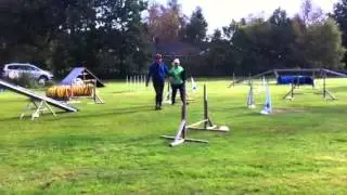 Zorro på Åsa-träning dag 2