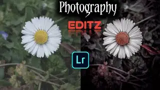 Photography Editing || Lightroom Editing 2022 🥀-- Dark and Brown Editing Lightroom ||