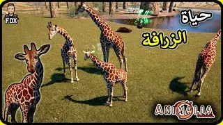 انيمليا سرفايفل | حياة الزرافة Animalia survival (23#)