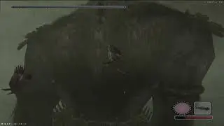 Shadow of the colossus | Fist Colossus