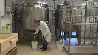 Знаменитое мыло разрушенного Алеппо теперь производят в Париже (новости)