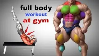 Full Body Workout At Gym
