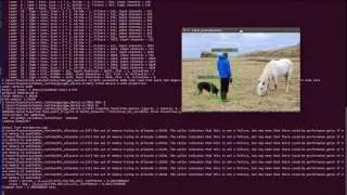 YOLO:Real-Time Object Detection