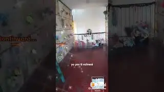 La Chacarita