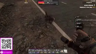 СТРИМ РАЗРАБОВ / МИНИ ОБНОВА / BLACK DESERT MOBILE