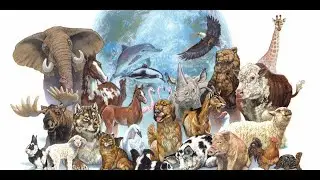11 Fascinating Animals from the Past